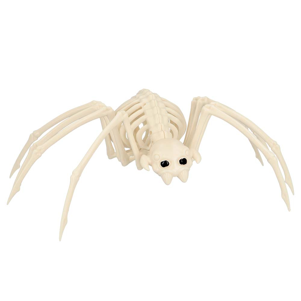 verkoop - attributen - Halloween - Skelet spin